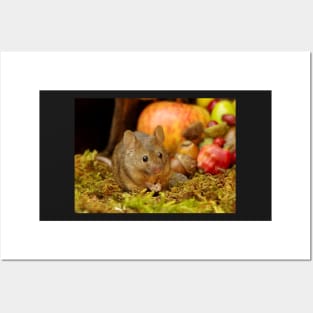 wild house mouse  with apples Posters and Art